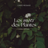 Carte Message Unique │ Oracle des Plantes – Image 5