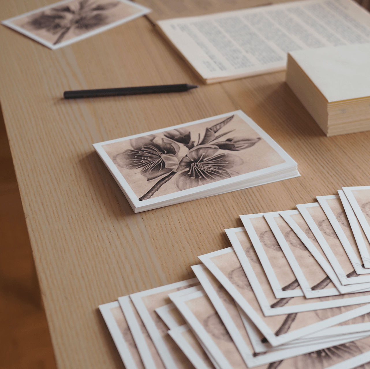 La lettre des Plantes – Image 11