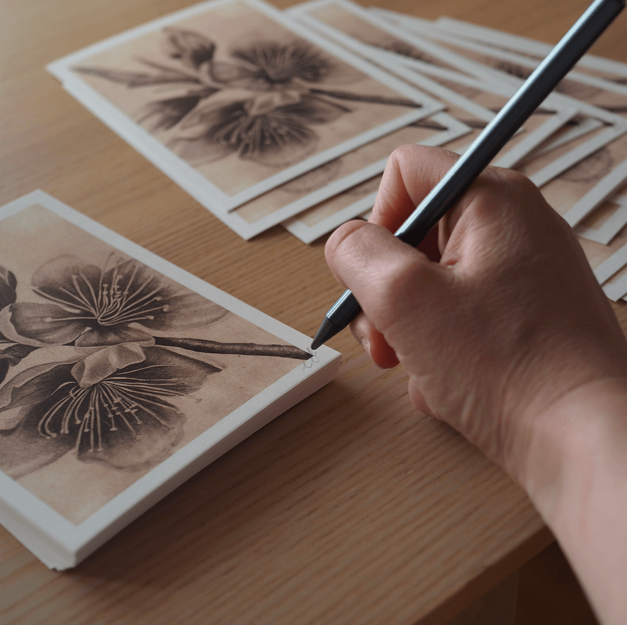 La lettre des Plantes – Image 10