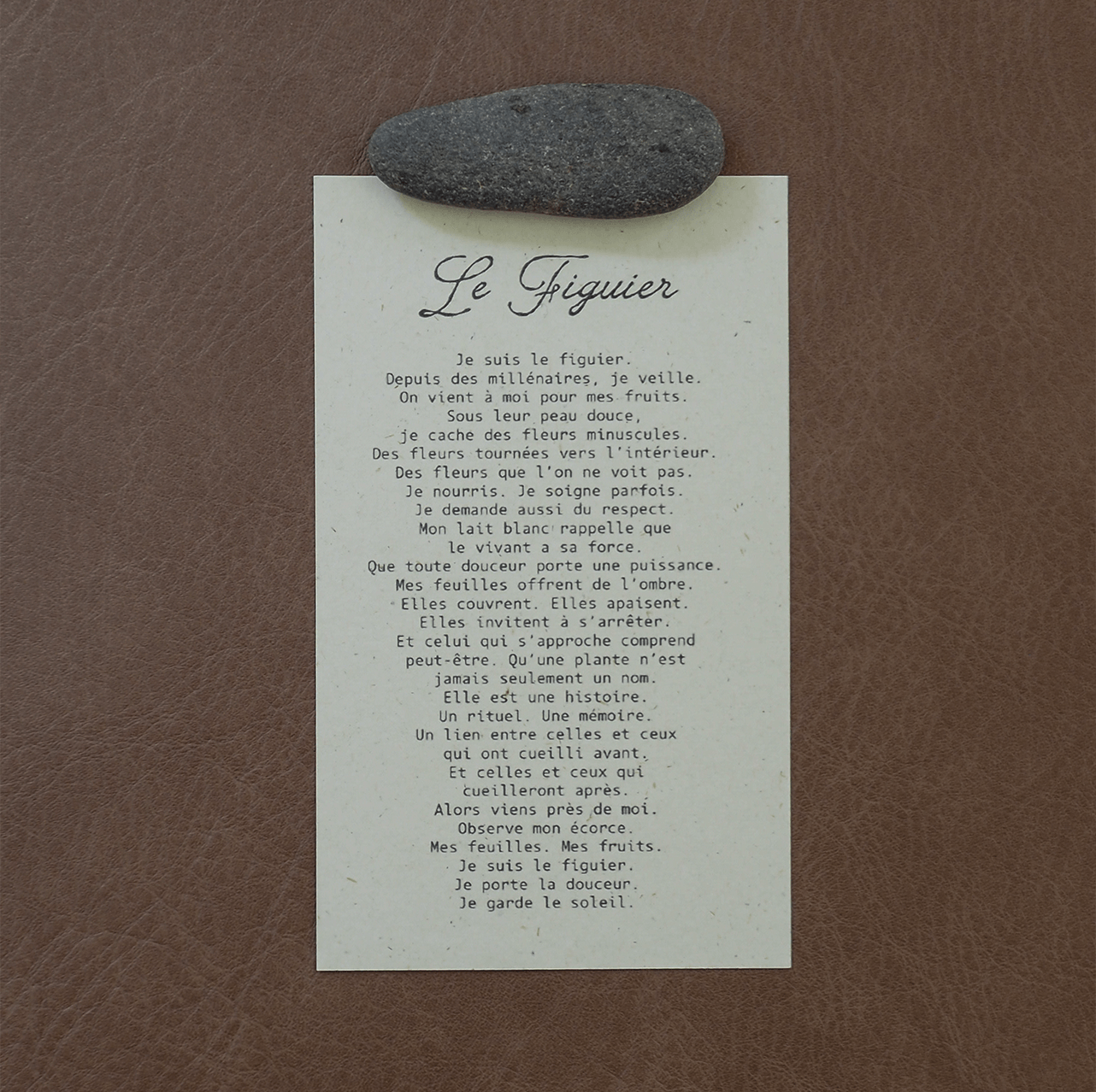 La lettre des Plantes – Image 9